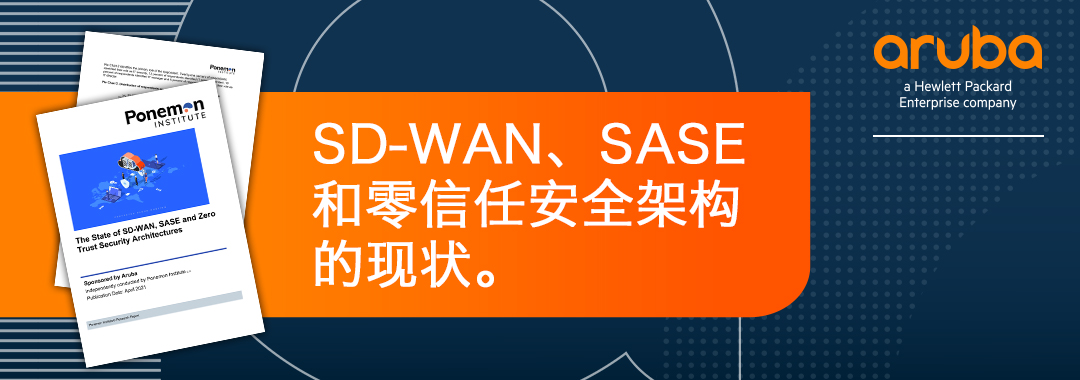 SD-WAN、SASE 和零信任的未来发展方向如何？