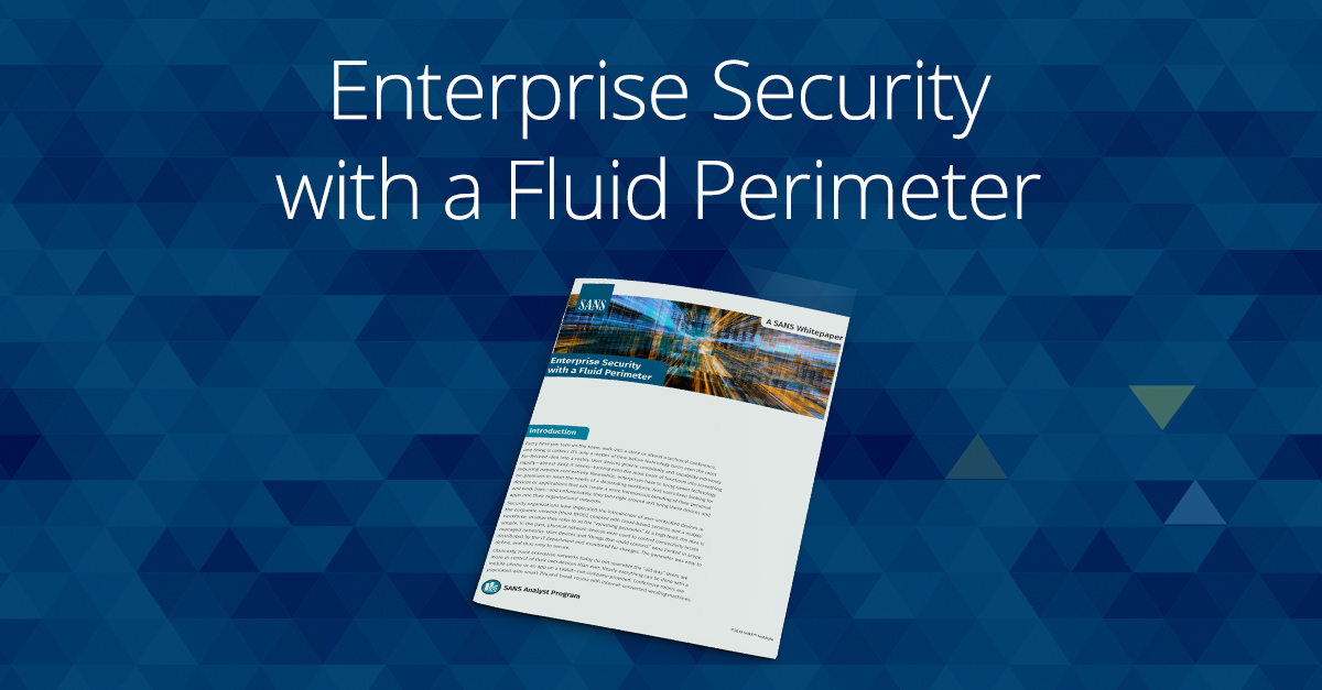 Enterprise Security with a Fluid Perimeter